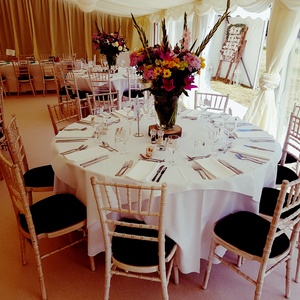 Chiavari Chairs 